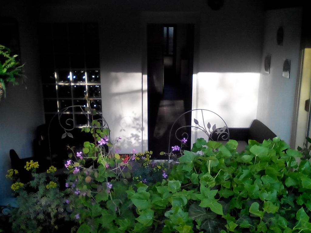 Apartament Poropat