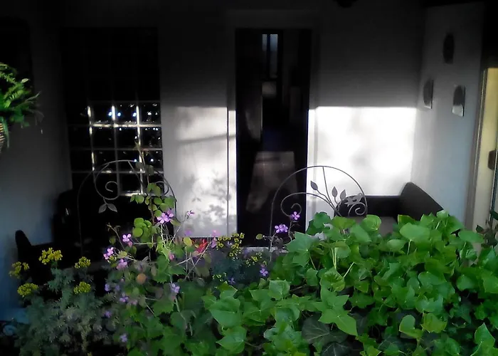 Apartment Poropat