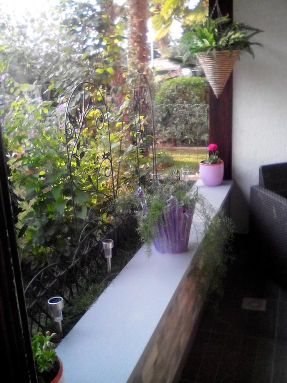 Apartment Poropat